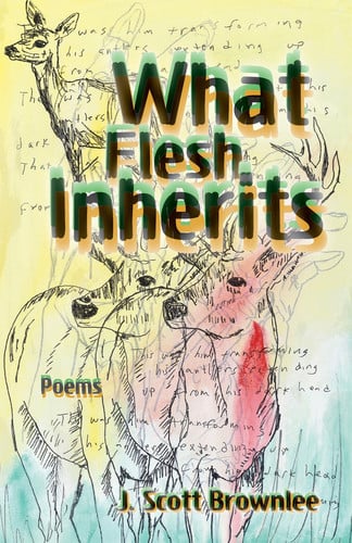Cover of What Flesh Inherits: Poems