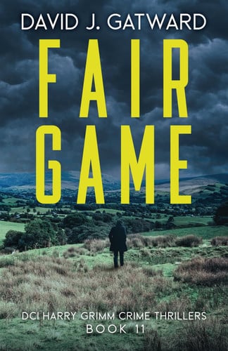 Cover of Fair Game