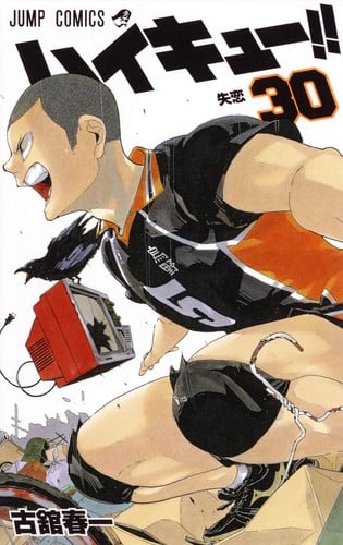 Cover of ハイキュー!! 30