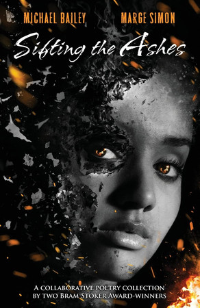 Cover of Sifting the Ashes