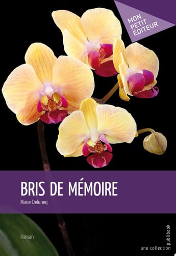 Cover of Bris De Mémoire