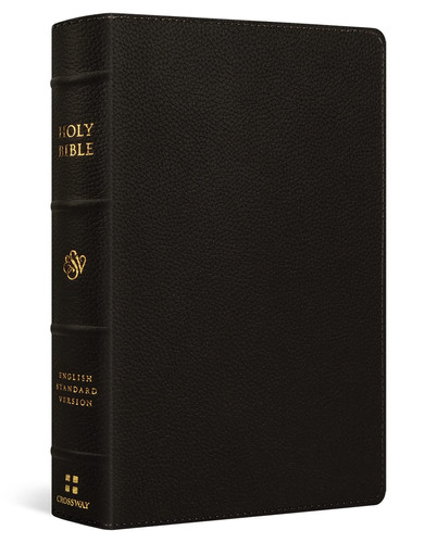 Cover of ESV Large Print Personal Size Bible, Red Letter (Buffalo Leather, Deep Brown)