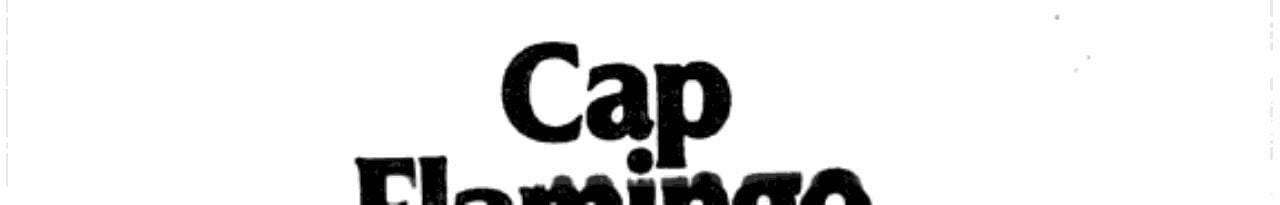 Cover of Cap Flamingo
