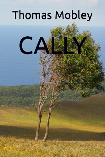 Cover of Cally