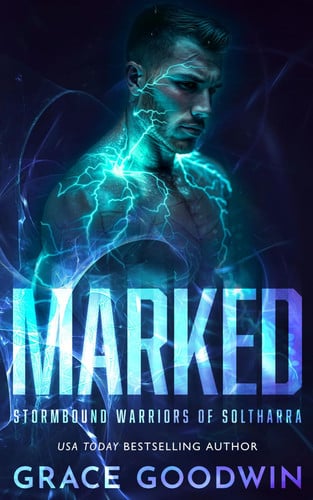 Cover of Marked (Stormbound Warriors of Soltharra)