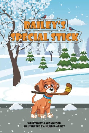 Cover of Bailey's Special Stick