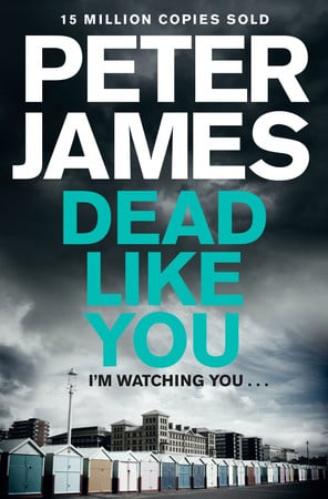 Cover of Dead Like You