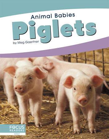 Cover of Piglets