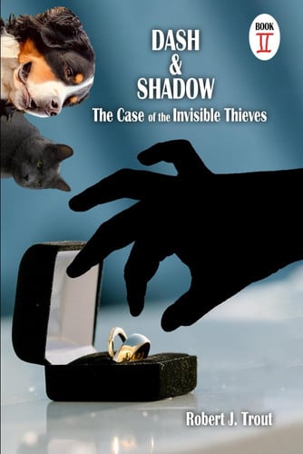 Cover of Dash and Shadow 2: The Case of the Invisible Thieves
