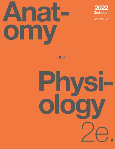 Cover of Anatomy and Physiology 2e, Volume 2/2 (hardcover, Color)