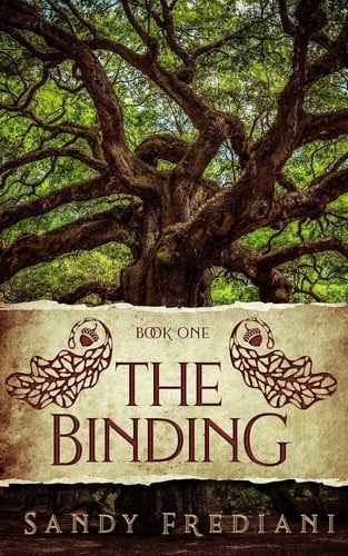 Cover of The Binding