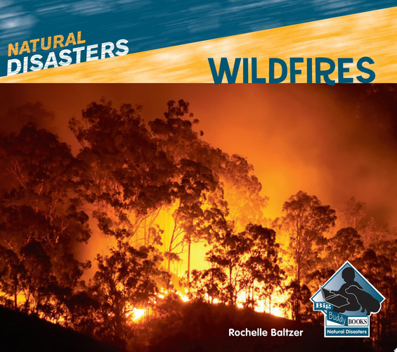 Cover of Wildfires