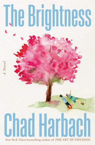 Cover of The Brightness: A Novel