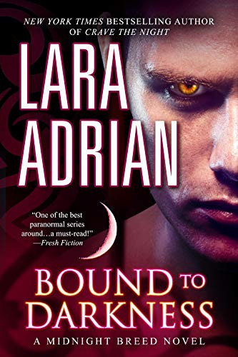 Cover of Bound to Darkness: A Midnight Breed Novel