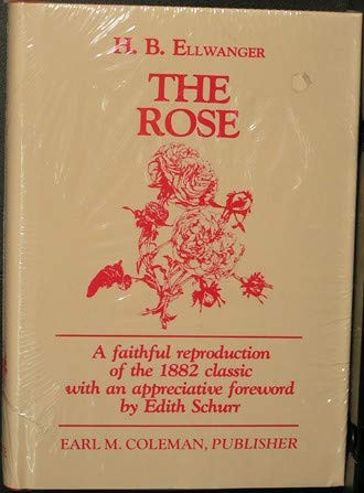 Cover of The Rose