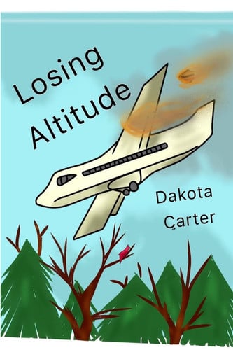Cover of Losing Altitude
