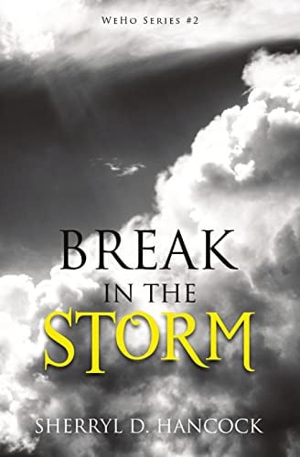Cover of Break in the Storm