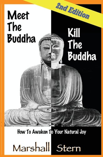 Cover of Meet the Buddha Kill the Buddha
