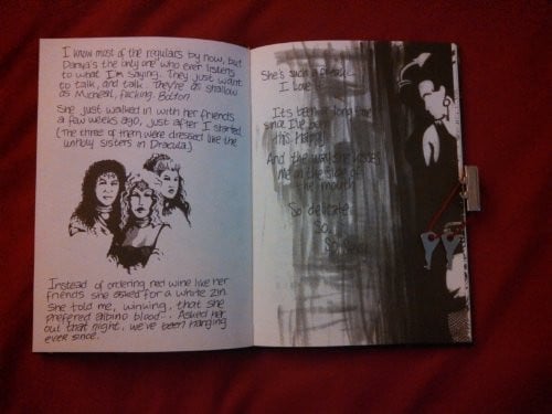 Cover of Vampire Diary The Embrace