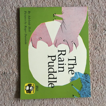 Cover of The Rain Puddle