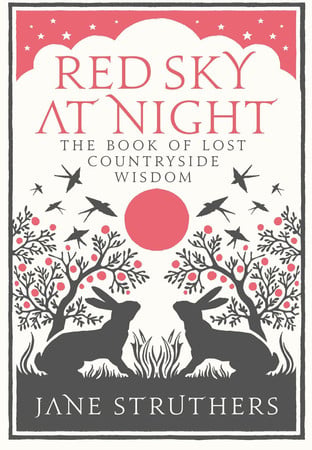 Cover of Red Sky at Night