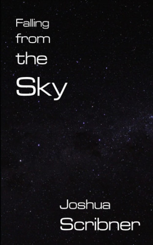 Cover of Falling From the Sky