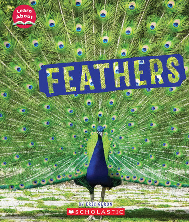 Cover of Feathers