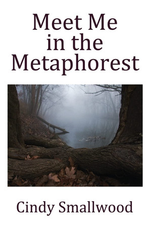 Cover of Meet Me in the Metaphorest